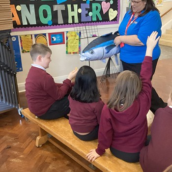 Athro yn dal tegan meddal mawr ar siâp pysgodyn